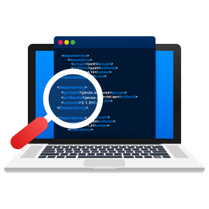 Software Development